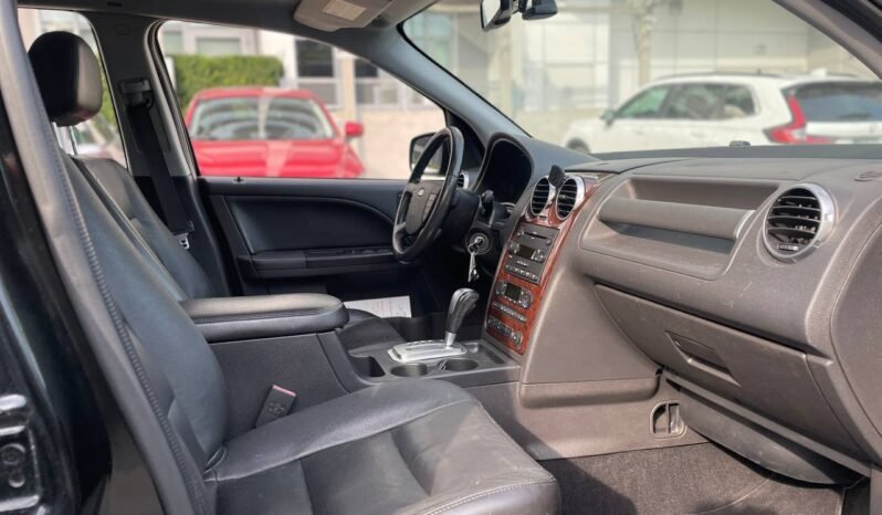 
								2007 Ford Freestyle full									